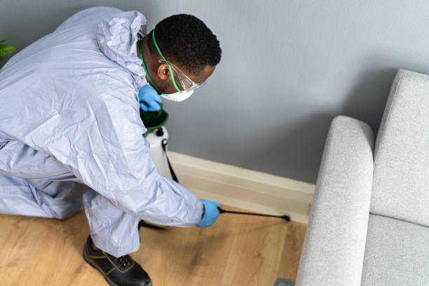 Best Residential Pest Control  in Valparaiso, FL